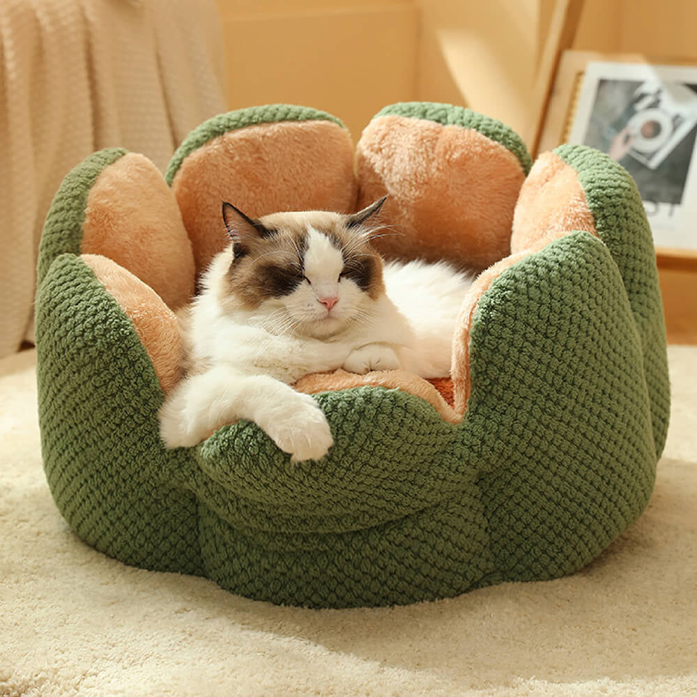 "Prickly Pup Paradise: Cactus-Shaped Pet Bed for Ultimate Comfort"