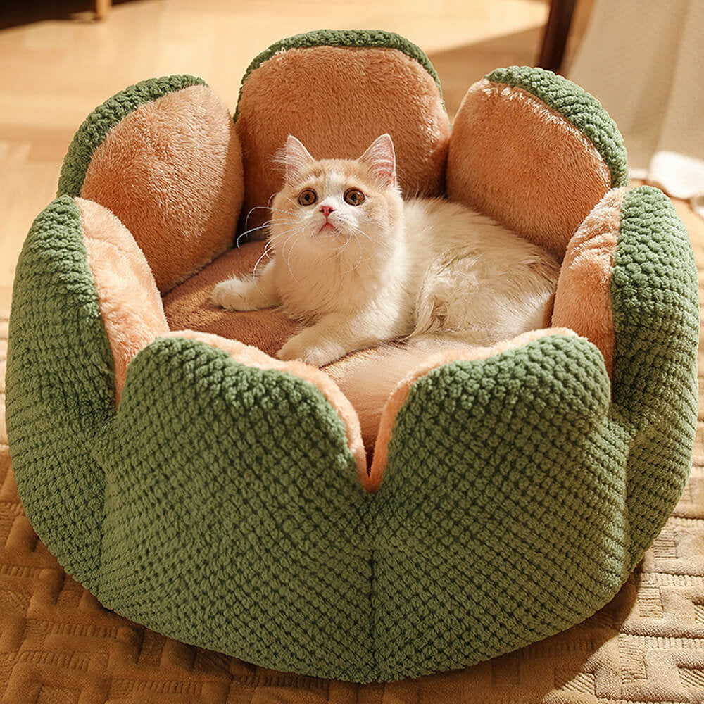 "Prickly Pup Paradise: Cactus-Shaped Pet Bed for Ultimate Comfort"